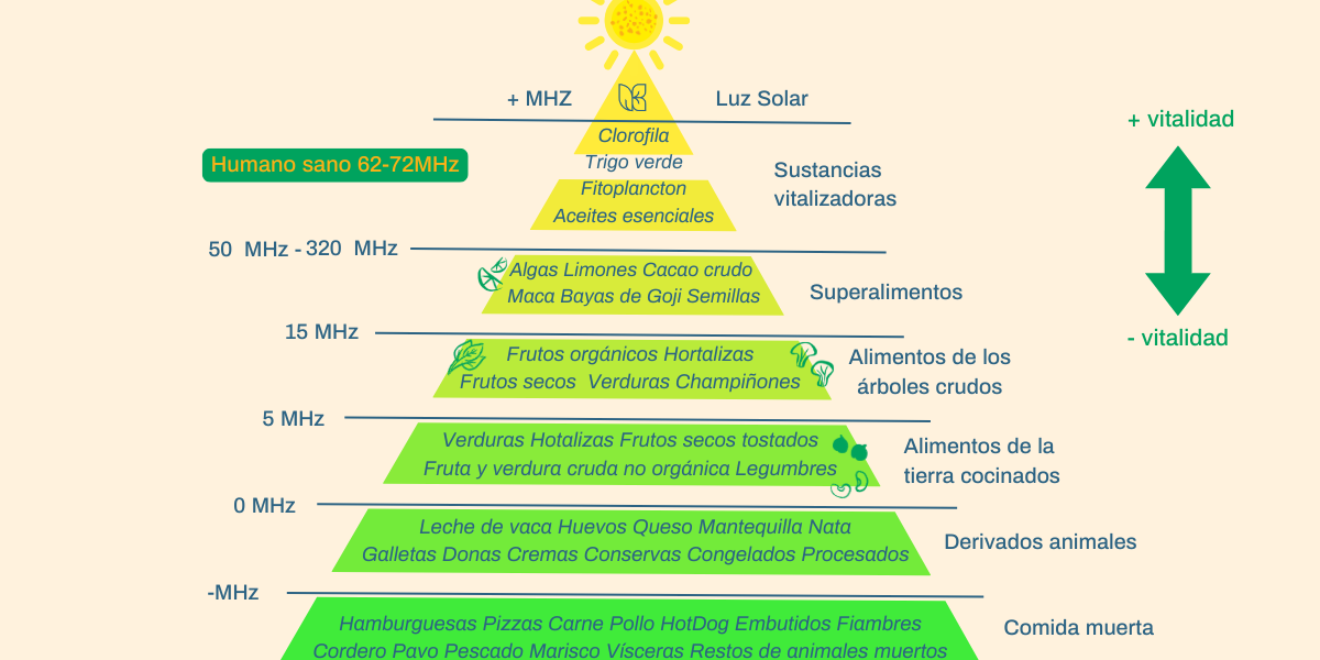 Pirámide de la vibración de los alimentos Descubre como la alimentación de alta vibración puede ser tu aliado para lograr bienestar físico, mental, emocional y espiritual