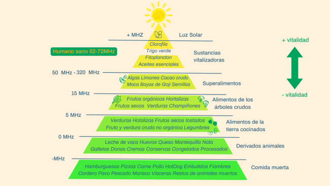 Descubre como la alimentación de alta vibración puede ser tu aliado para lograr bienestar físico, mental, emocional y espiritual