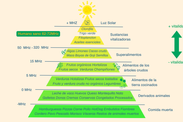 Descubre como la alimentación de alta vibración puede ser tu aliado para lograr bienestar físico, mental, emocional y espiritual